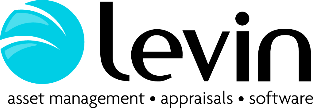 levin logo jpg